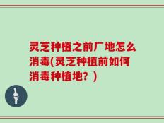 灵芝种植之前厂地怎么消毒(灵芝种植前如何消毒种植地？)