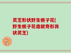 灵芝形状野生栀子花(野生栀子花造就奇形异状灵芝)