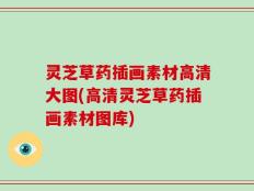 灵芝草药插画素材高清大图(高清灵芝草药插画素材图库)