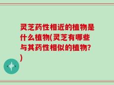 灵芝药性相近的植物是什么植物(灵芝有哪些与其药性相似的植物？)