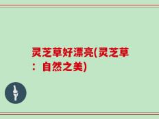 灵芝草好漂亮(灵芝草：自然之美)