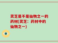 灵芝是不是仙物之一的药材(灵芝：药材中的仙物之一)