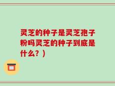 灵芝的种子是灵芝孢子粉吗灵芝的种子到底是什么？)