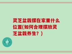灵芝盆栽摆在家里什么位置(如何合理摆放灵芝盆栽养生？)