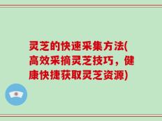 灵芝的快速采集方法(高效采摘灵芝技巧，健康快捷获取灵芝资源)