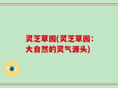 灵芝草园(灵芝草园：大自然的灵气源头)