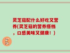 灵芝菇配什么好吃又营养(灵芝菇的营养搭档，口感美味又健康！)