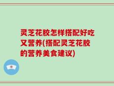 灵芝花胶怎样搭配好吃又营养(搭配灵芝花胶的营养美食建议)