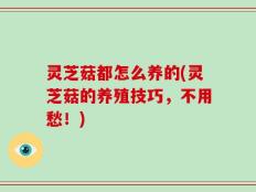 灵芝菇都怎么养的(灵芝菇的养殖技巧，不用愁！)