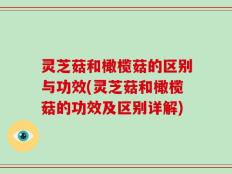 灵芝菇和橄榄菇的区别与功效(灵芝菇和橄榄菇的功效及区别详解)