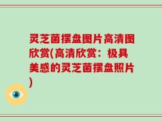 灵芝菌摆盘图片高清图欣赏(高清欣赏：极具美感的灵芝菌摆盘照片)