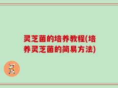 灵芝菌的培养教程(培养灵芝菌的简易方法)