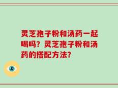 灵芝孢子粉和汤药一起喝吗？灵芝孢子粉和汤药的搭配方法？