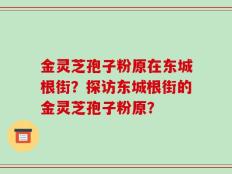 金灵芝孢子粉原在东城根街？探访东城根街的金灵芝孢子粉原？