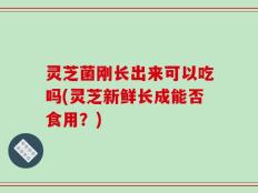 灵芝菌刚长出来可以吃吗(灵芝新鲜长成能否食用？)