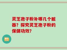 灵芝孢子粉补哪几个脏器？探究灵芝孢子粉的保健功效？