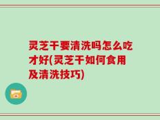 灵芝干要清洗吗怎么吃才好(灵芝干如何食用及清洗技巧)