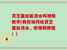 灵芝菌丝能浇水吗视频教学(教你如何给灵芝菌丝浇水，附视频教程！)