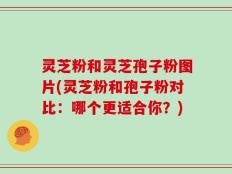 灵芝粉和灵芝孢子粉图片(灵芝粉和孢子粉对比：哪个更适合你？)