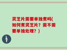 灵芝片需要单独煮吗(如何煮灵芝片？需不需要单独处理？)