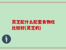 灵芝配什么配套食物吃比较好(灵芝的)