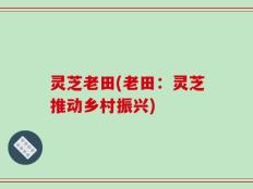 灵芝老田(老田：灵芝推动乡村振兴)