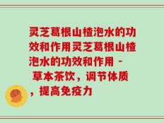 灵芝葛根山楂泡水的功效和作用灵芝葛根山楂泡水的功效和作用 - 草本茶饮，调节体质，提高免疫力