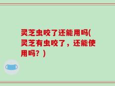 灵芝虫咬了还能用吗(灵芝有虫咬了，还能使用吗？)