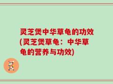 灵芝煲中华草龟的功效(灵芝煲草龟：中华草龟的营养与功效)