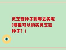 灵芝菇种子到哪去买呢(哪里可以购买灵芝菇种子？)