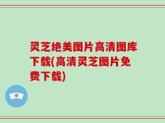 灵芝绝美图片高清图库下载(高清灵芝图片免费下载)