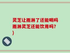 灵芝让雨淋了还能喝吗雨淋灵芝还能饮用吗？)