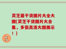 灵芝菌干货图片大全大图(灵芝干货图片大合集，多张高清大图展示！)