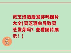 灵芝泡酒后发芽吗图片大全(灵芝酒会导致灵芝发芽吗？查看图片展示！)
