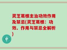 灵芝葛根主治功效作用及禁忌(灵芝葛根：功效、作用与禁忌全解析)