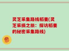 灵芝采集路线稻妻(灵芝采摘之旅：探访稻妻的秘密采集路线)