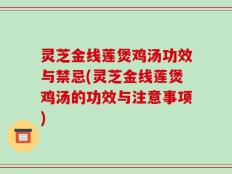 灵芝金线莲煲鸡汤功效与禁忌(灵芝金线莲煲鸡汤的功效与注意事项)