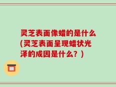 灵芝表面像蜡的是什么(灵芝表面呈现蜡状光泽的成因是什么？)