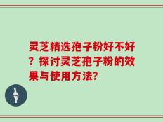 灵芝精选孢子粉好不好？探讨灵芝孢子粉的效果与使用方法？