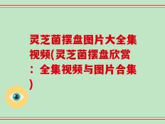 灵芝菌摆盘图片大全集视频(灵芝菌摆盘欣赏：全集视频与图片合集)
