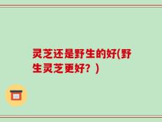 灵芝还是野生的好(野生灵芝更好？)