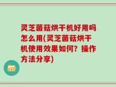 灵芝菌菇烘干机好用吗怎么用(灵芝菌菇烘干机使用效果如何？操作方法分享)