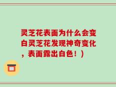 灵芝花表面为什么会变白灵芝花发现神奇变化，表面露出白色！)