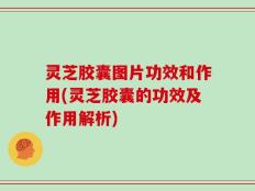 灵芝胶囊图片功效和作用(灵芝胶囊的功效及作用解析)
