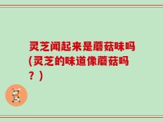 灵芝闻起来是蘑菇味吗(灵芝的味道像蘑菇吗？)