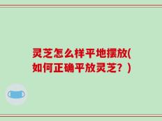灵芝怎么样平地摆放(如何正确平放灵芝？)