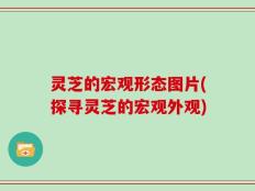 灵芝的宏观形态图片(探寻灵芝的宏观外观)