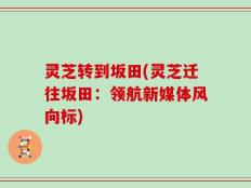 灵芝转到坂田(灵芝迁往坂田：领航新媒体风向标)