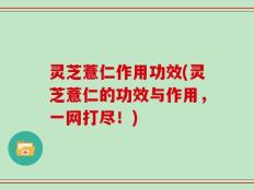 灵芝薏仁作用功效(灵芝薏仁的功效与作用，一网打尽！)