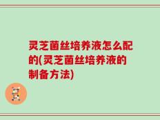 灵芝菌丝培养液怎么配的(灵芝菌丝培养液的制备方法)